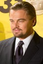 Leonardo DiCaprio Royalty Free Stock Photo