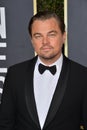 Leonardo DiCaprio Royalty Free Stock Photo