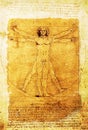 Leonardo's Vitruvian Man old parchment