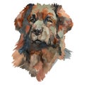 The Leonberger Dog portrait