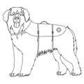 Leonberger lifesaver dog outline Royalty Free Stock Photo