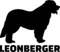 Leonberger silhouette real word