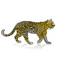 Leopard Royalty Free Stock Photo