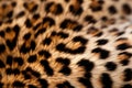 leopard fur macro shot, natural texture. AI Generated Royalty Free Stock Photo