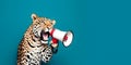 Leopard announcing using hand speaker. Notifying, warning, announcement