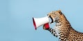 Leopard announcing using hand speaker. Notifying, warning, announcement