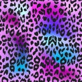 Leopard background. Seamless pattern. Cheetah Animal print.