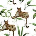 Leopard in bamboo watercolor seamless pattern Royalty Free Stock Photo