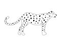 Leopard black and white vector. Wild animal print illustration isolated