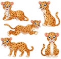 Leopard cartoon set collection