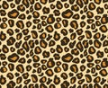 Leopard / cheetah skin seamless pattern, abstract animal background, vector illustration.