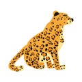 Leopard cute trend style, animal predator mammal, jungle. Vector illustration isolated on white background