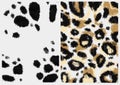 leopard design pattern. leopard fur texture real fur. Wild animals pattern print. Dalmatian dog, damage stains. Animal