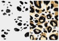 leopard design pattern. leopard fur texture real fur. Wild animals pattern print. Animal skin leo pard seamless pattern