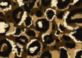 leopard design pattern. leopard fur texture real fur. Wild animals pattern print. Animal skin leo pard seamless pattern