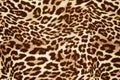 Leopard effect, fabric pattern, background sample. Leopard print seamless background. Royalty Free Stock Photo