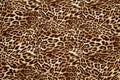 Leopard effect fabric pattern background sample. Leopard print seamless background.