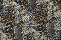 Leopard Fabric Blue, Tan & Cream Royalty Free Stock Photo