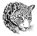 Leopard face tattoo ,Vector illustration, print