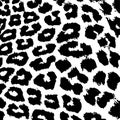 Leopard fur