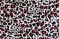 Leopard Fur Background