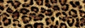 Leopard fur pattern creating seamless animal print texture. Leopard fur creating a detailed and stylish animal print background Royalty Free Stock Photo