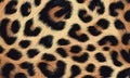Leopard fur texture seamless background pattern. Royalty Free Stock Photo