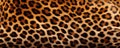 Leopard fur texture. Stylish wild animal print for fabric, background, textile, paper Royalty Free Stock Photo