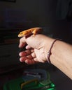 A leopard gecko in hand Royalty Free Stock Photo