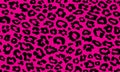 leopard girl pattern texture repeating seamless pink and black. print Royalty Free Stock Photo