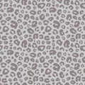 Leopard skin fantasy background Royalty Free Stock Photo