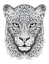 leopard head, black white outline for coloring book page, AI generative coloring card