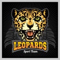 Leopard Head - Mascot Emblem for sport team. Vector illustration for t-shirt and badges Royalty Free Stock Photo