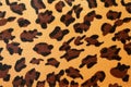 Leopard hide