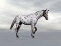 Leopard horse standing - 3D render