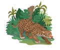 Leopard is hunting, hiding, or preparing to jump. Tropical plants on back, savanna animal, african spotted cat. Vector