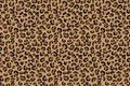 Leopard jaguar pattern seamless. Vector texture background. Brown wild cat fur Royalty Free Stock Photo