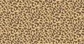 Leopard or jaguar print seamless pattern, textured fashion print, abstract safari background for fabric, textile. Effect Royalty Free Stock Photo