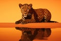 A leopard laying on top of a reflective surface. Generative AI image.