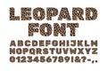 Leopard letters and numbers Leopard spots font Wild animal alphabet