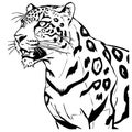 Leopard . Line art. Logo design for use in graphics. T-shirt print, tattoo design.