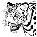 Leopard . Line art. Logo design for use in graphics. T-shirt print, tattoo design.