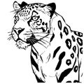 Leopard . Line art. Logo design for use in graphics. T-shirt print, tattoo design.