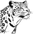 Leopard . Line art. Logo design for use in graphics. T-shirt print, tattoo design.