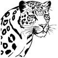 Leopard . Line art. Logo design for use in graphics. T-shirt print, tattoo design.