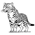 Leopard . Line art. Logo design for use in graphics. T-shirt print, tattoo design.