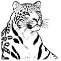 Leopard . Line art. Logo design for use in graphics. T-shirt print, tattoo design.