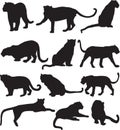 Leopard or panther silhouette contour