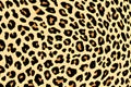 Leopard pattern abstract backgroud. Generative AI