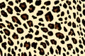 Leopard pattern abstract backgroud. Generative AI